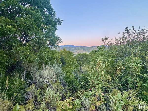 5 Acres of Residential Land for Sale in Kamas, Utah