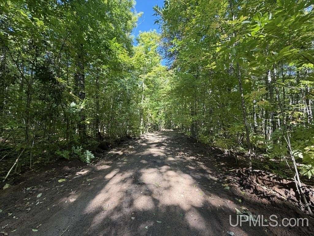 40 Acres of Land for Sale in Skanee, Michigan