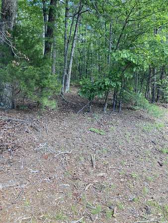 1.33 Acres of Mixed-Use Land for Sale in Fairfield Bay, Arkansas
