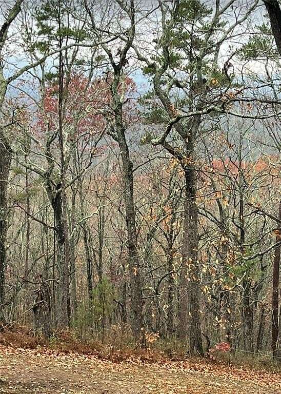 2 Acres of Residential Land for Sale in Canton, Georgia