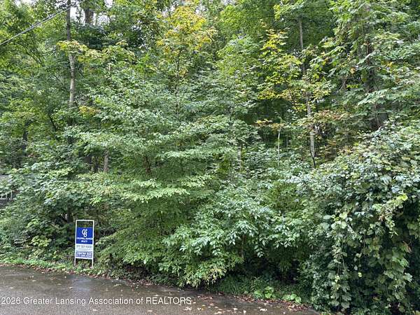 0.87 Acres of Residential Land for Sale in Dimondale, Michigan
