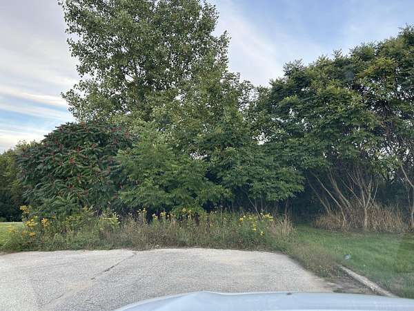 18.5 Acres of Land for Sale in Fremont, Michigan