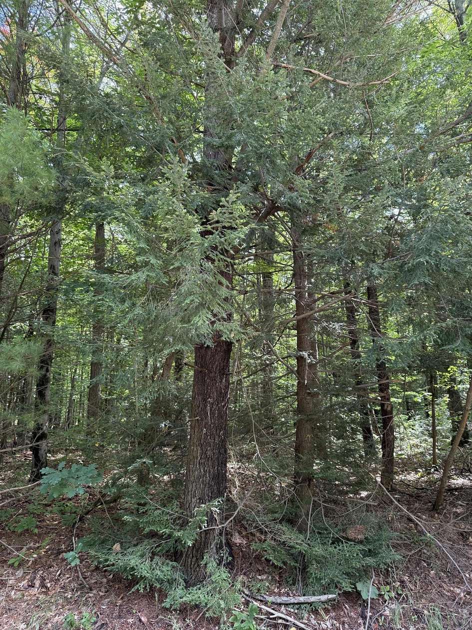 10.8 Acres of Land for Sale in Muskegon, Michigan