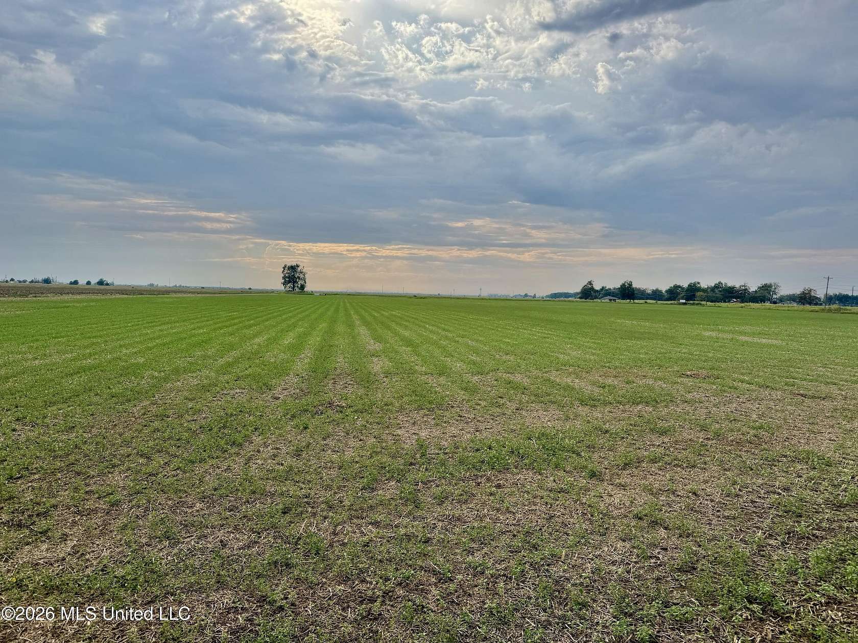 1.7 Acres of Residential Land for Sale in Cleveland, Mississippi