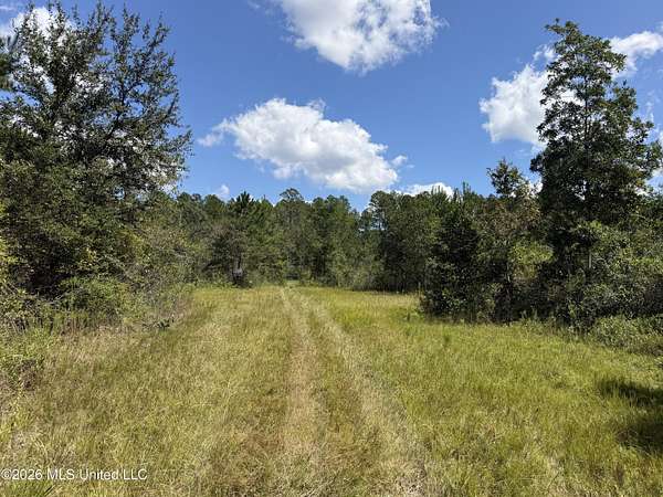 9.2 Acres of Residential Land for Sale in Saucier, Mississippi