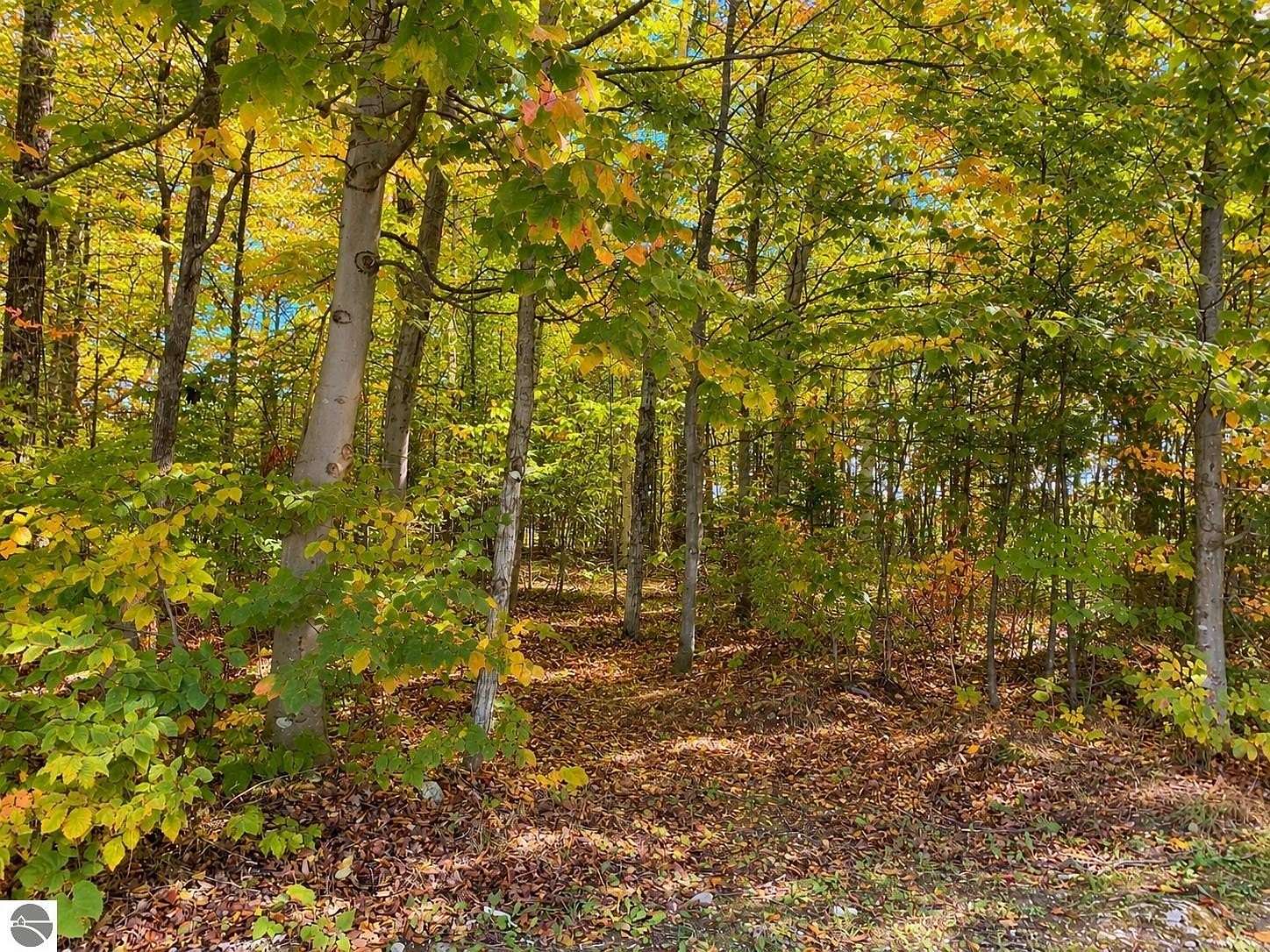 0.19 Acres of Residential Land for Sale in Mackinac Island, Michigan