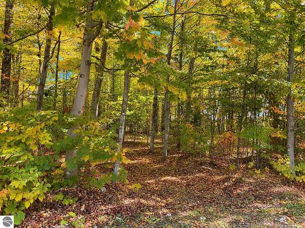0.19 Acres of Residential Land for Sale in Mackinac Island, Michigan