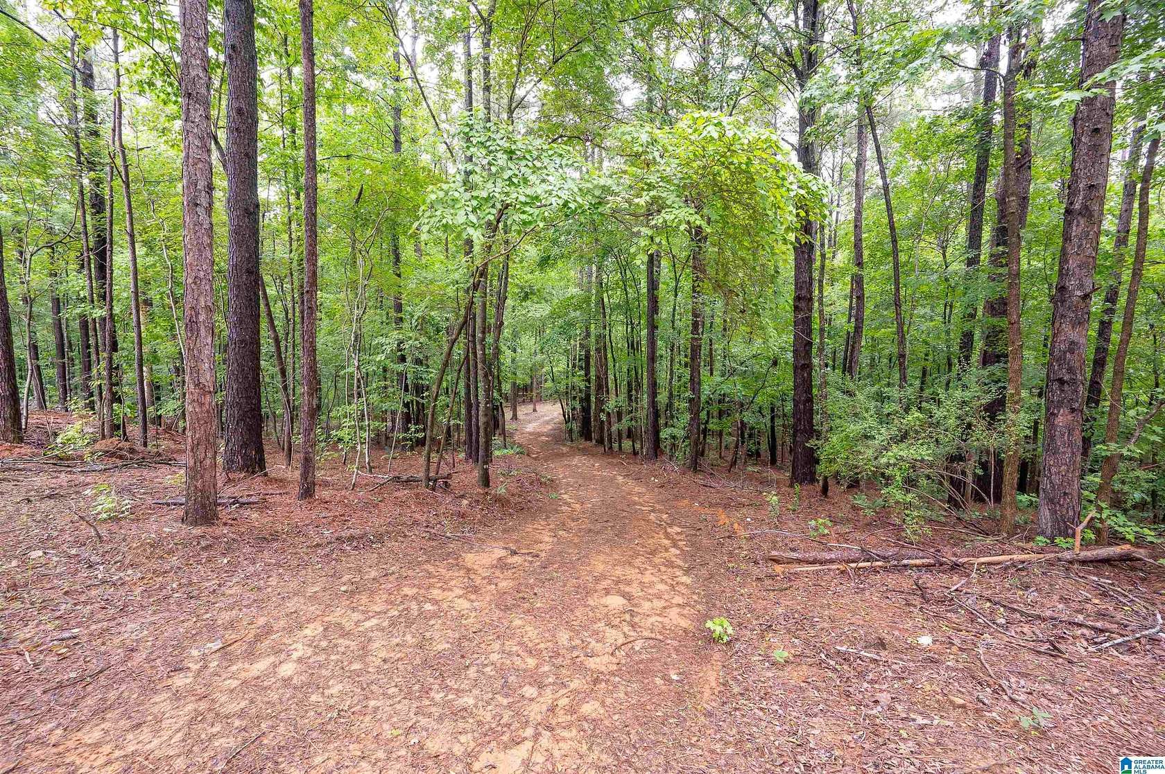 7.16 Acres of Residential Land for Sale in Chelsea, Alabama