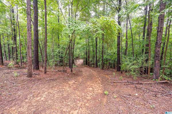 7.16 Acres of Residential Land for Sale in Chelsea, Alabama