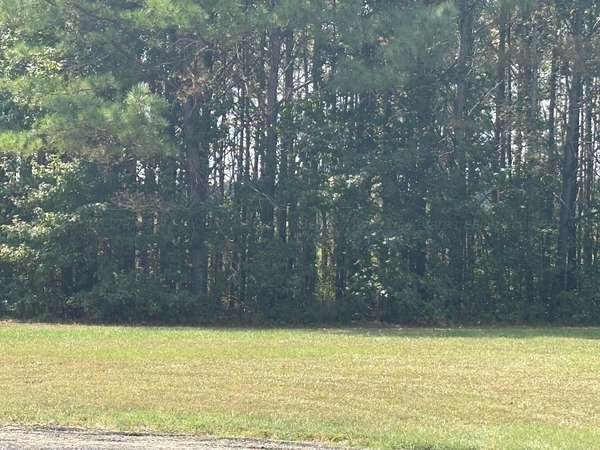 72 Acres of Agricultural Land for Sale in Nauvoo, Alabama