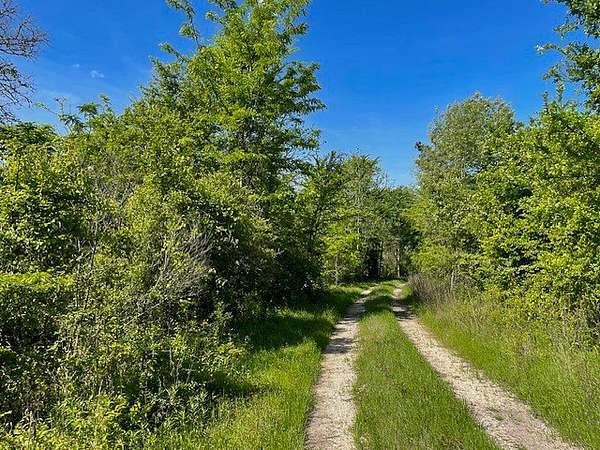 25 Acres of Recreational Land for Sale in Trinity, Texas