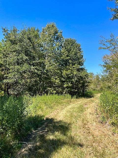 54.1 Acres of Recreational Land for Sale in Trinity, Texas