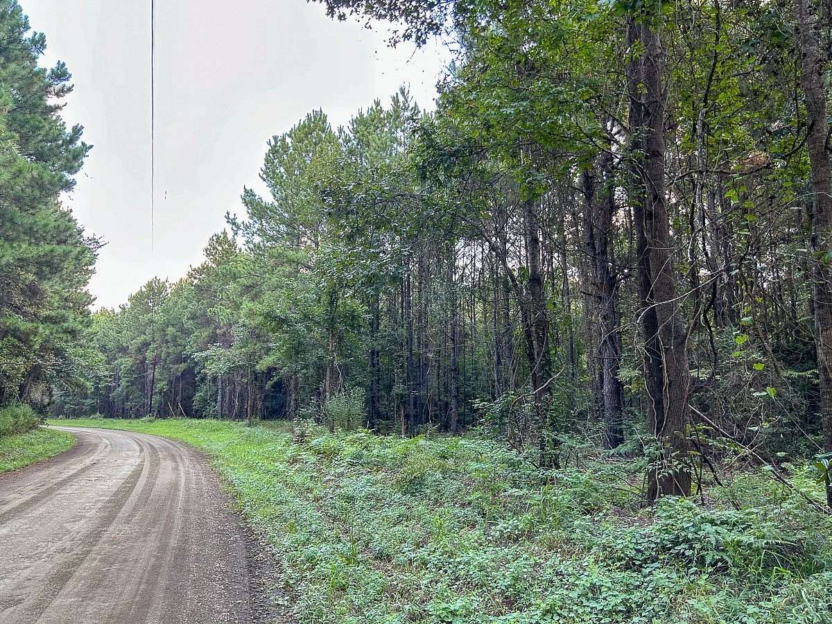 6.1 Acres of Residential Land for Sale in Fred, Texas