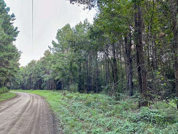 6.1 Acres of Residential Land for Sale in Fred, Texas