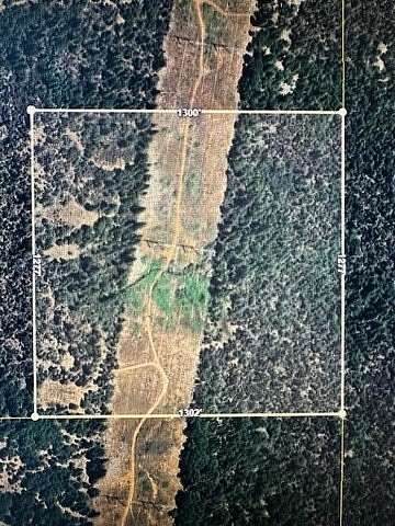 40 Acres of Land for Sale in Oak Run, California