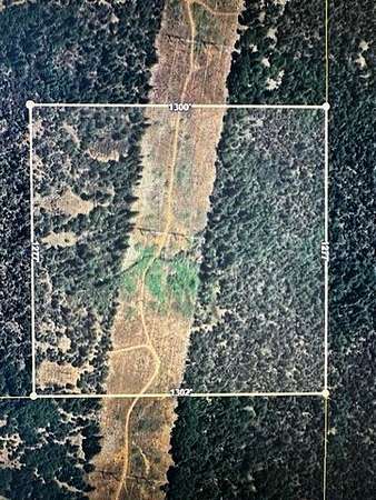 40 Acres of Land for Sale in Oak Run, California