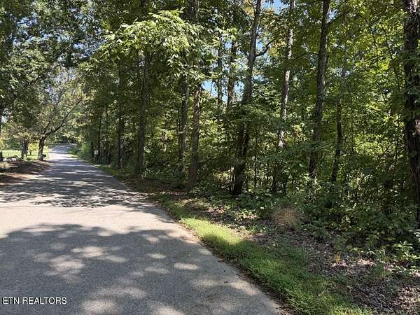 41.3 Acres of Recreational & Residential Land for Sale in La Follette, Tennessee