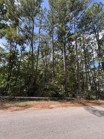 0.52 Acres of Residential Land for Sale in Brookeland, Texas