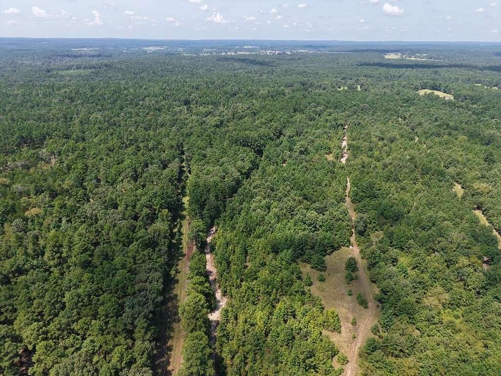 12 Acres of Recreational Land for Sale in Palestine, Texas