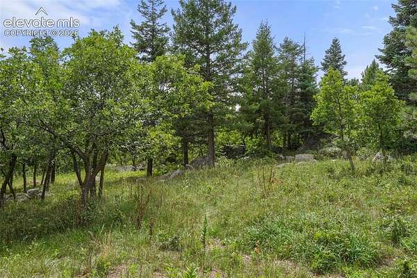 1.66 Acres of Residential Land for Sale in Colorado Springs, Colorado