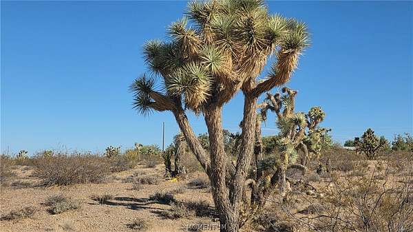 1 Acre of Residential Land for Sale in White Hills, Arizona