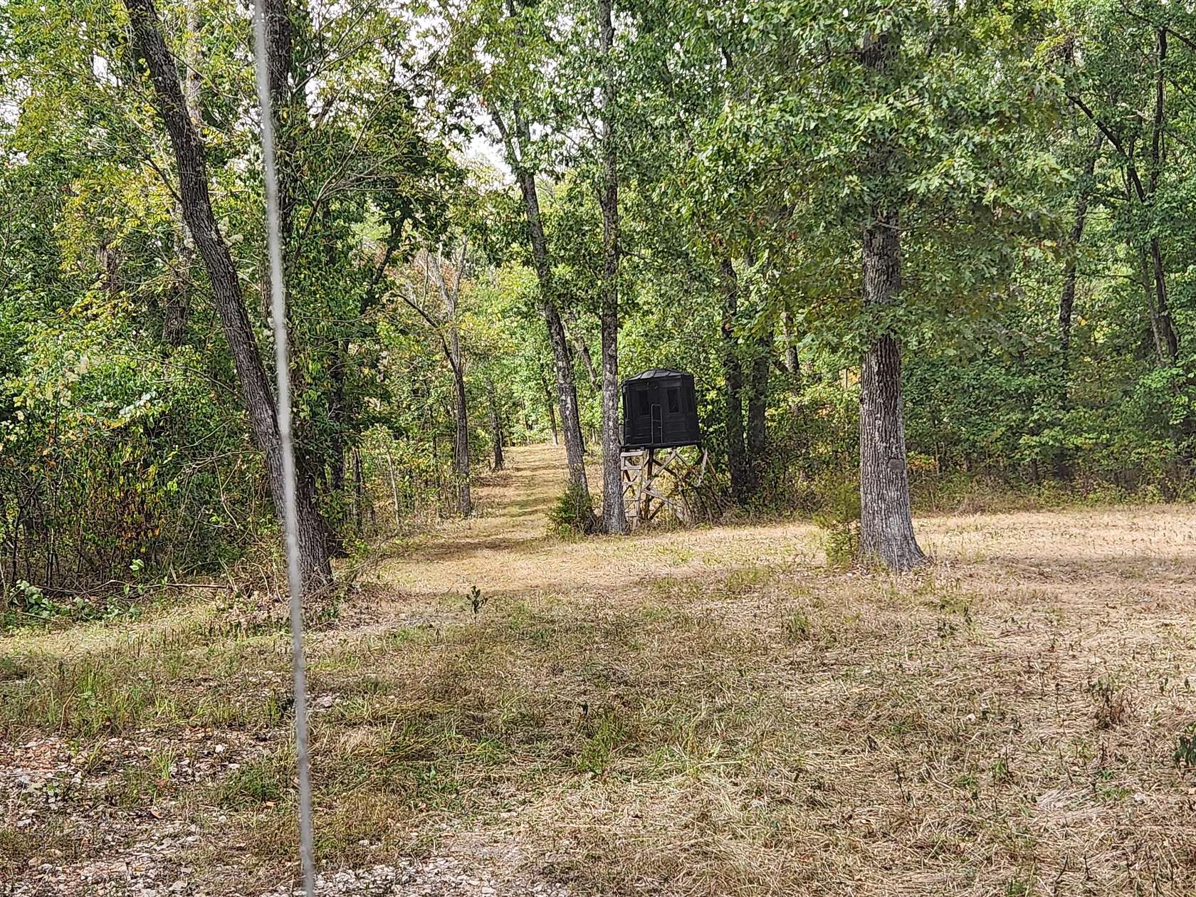 61.6 Acres of Recreational Land for Sale in Crane, Missouri