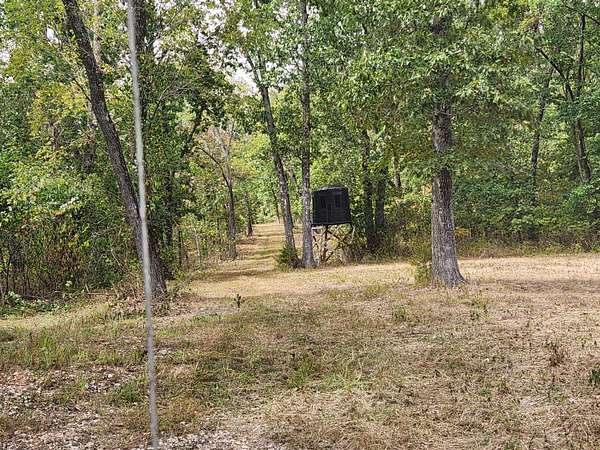 61.6 Acres of Recreational Land for Sale in Crane, Missouri