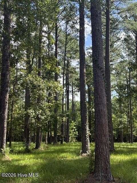 1.33 Acres of Residential Land for Sale in Oriental, North Carolina