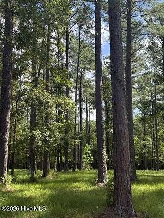 1.33 Acres of Residential Land for Sale in Oriental, North Carolina