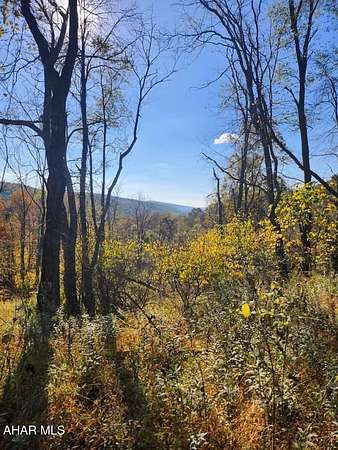 70.6 Acres of Recreational & Residential Land for Sale in Imler, Pennsylvania
