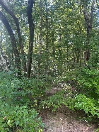 1.56 Acres of Land for Sale in Rising Fawn, Georgia
