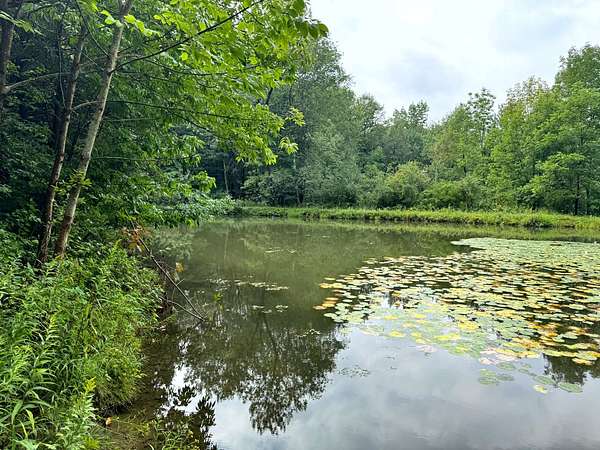 12.3 Acres of Recreational & Residential Land for Sale in Richford, New York