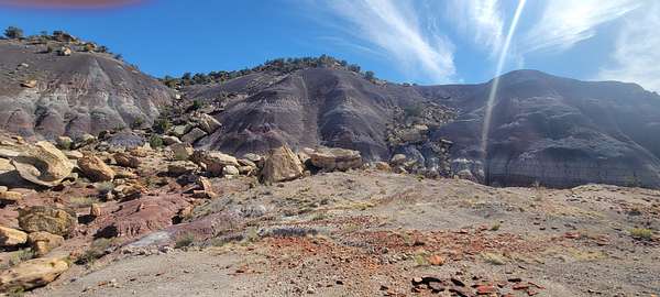 120 Acres of Recreational Land for Sale in Concho, Arizona