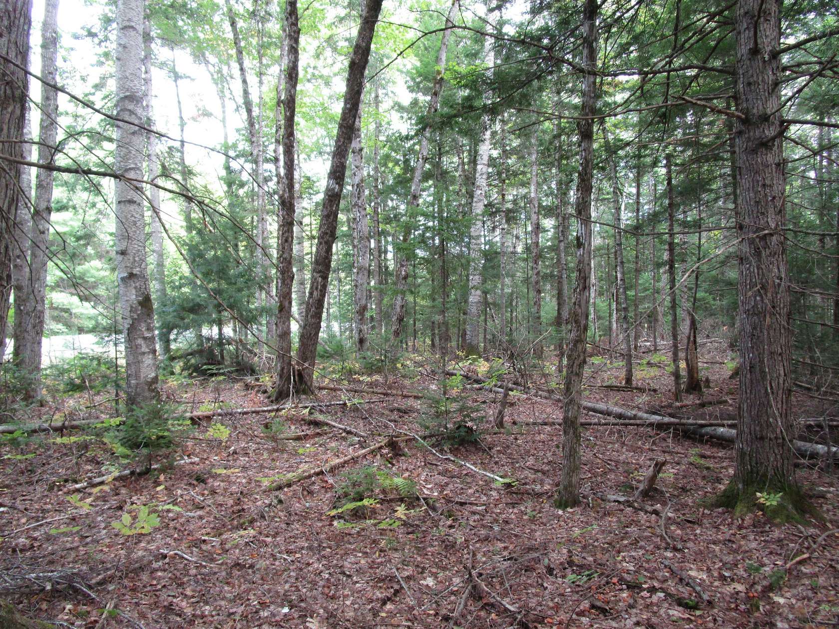 3 Acres of Residential Land for Sale in Howland, Maine