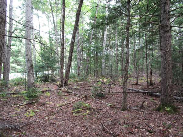 3 Acres of Residential Land for Sale in Howland, Maine