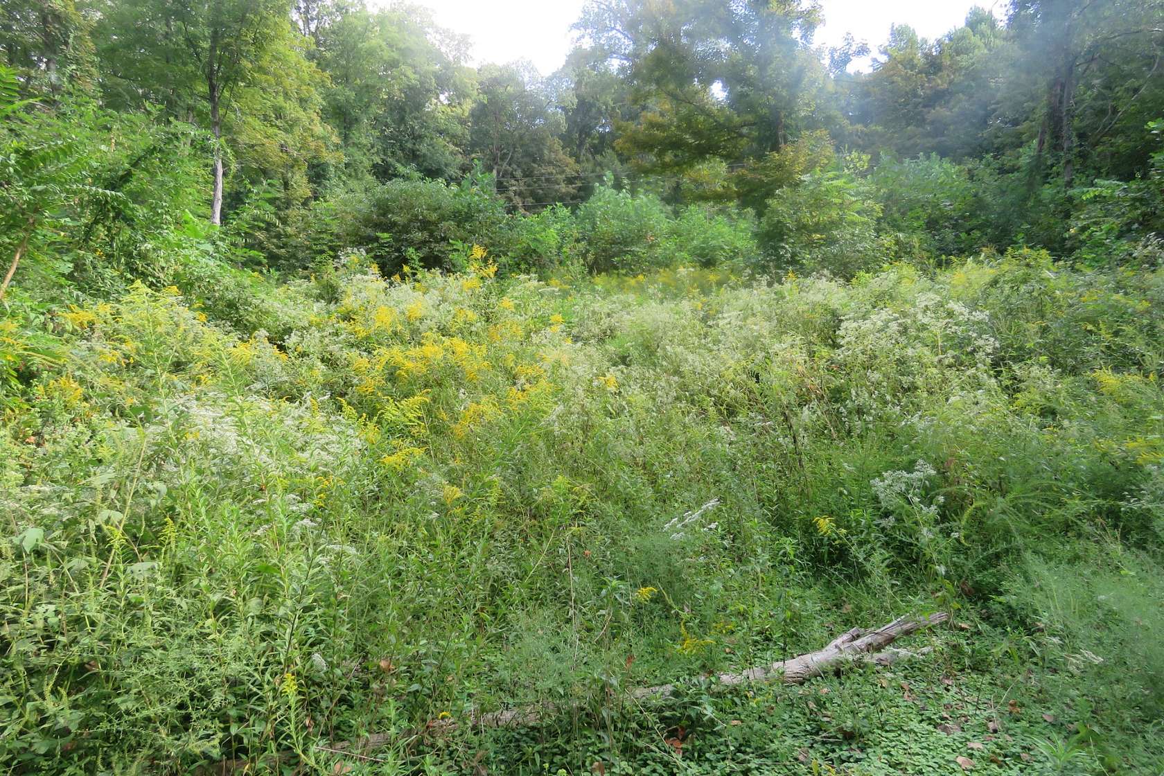 1 Acre of Residential Land for Sale in Cookeville, Tennessee
