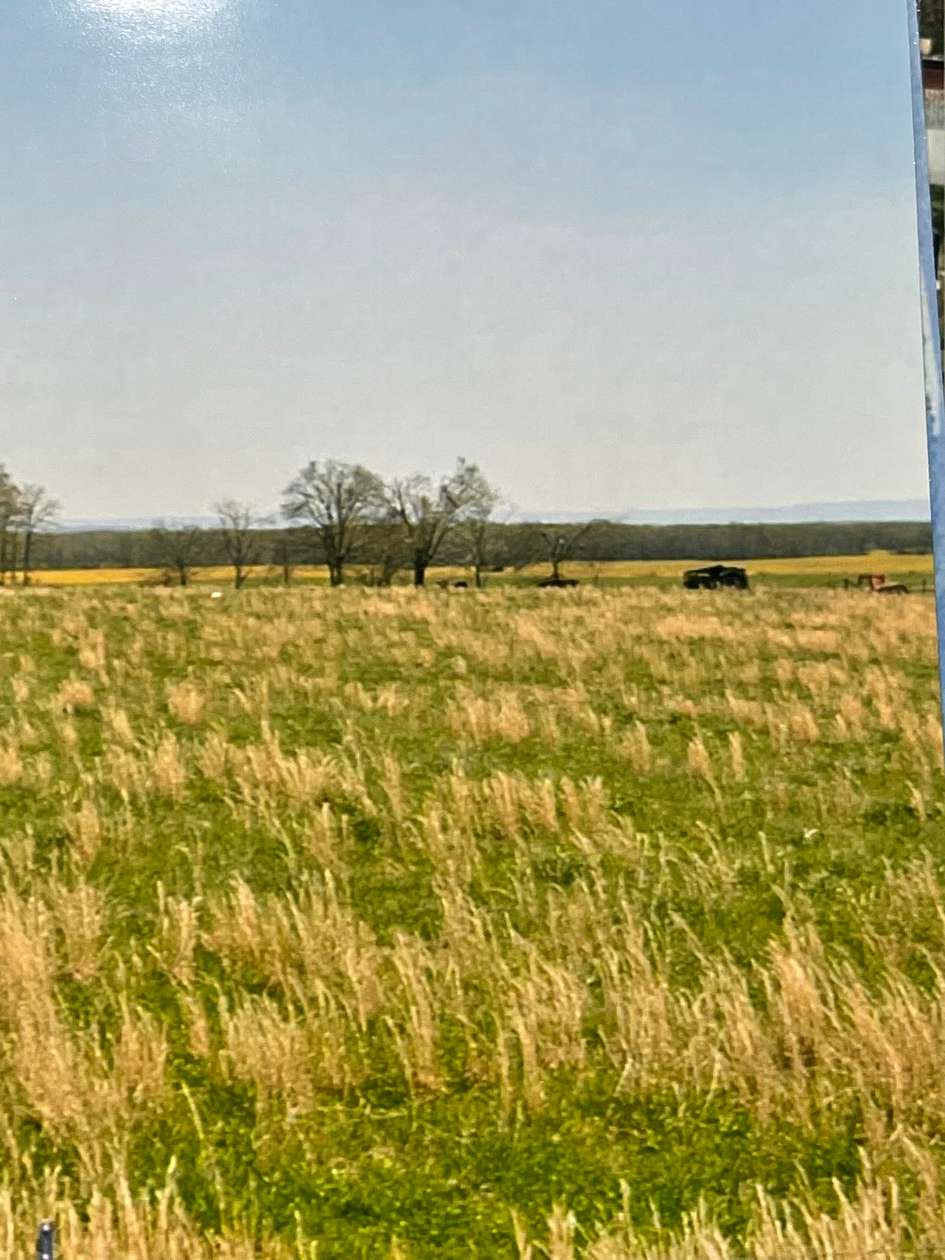 8 Acres of Residential Land for Sale in Manchester, Tennessee