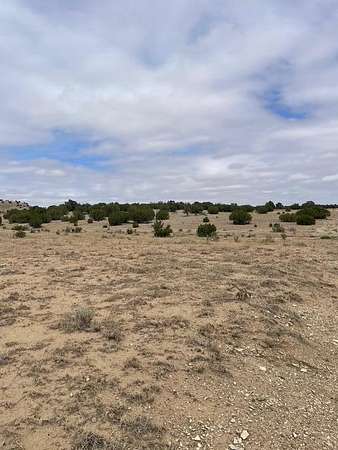 35 Acres of Land for Sale in Model, Colorado