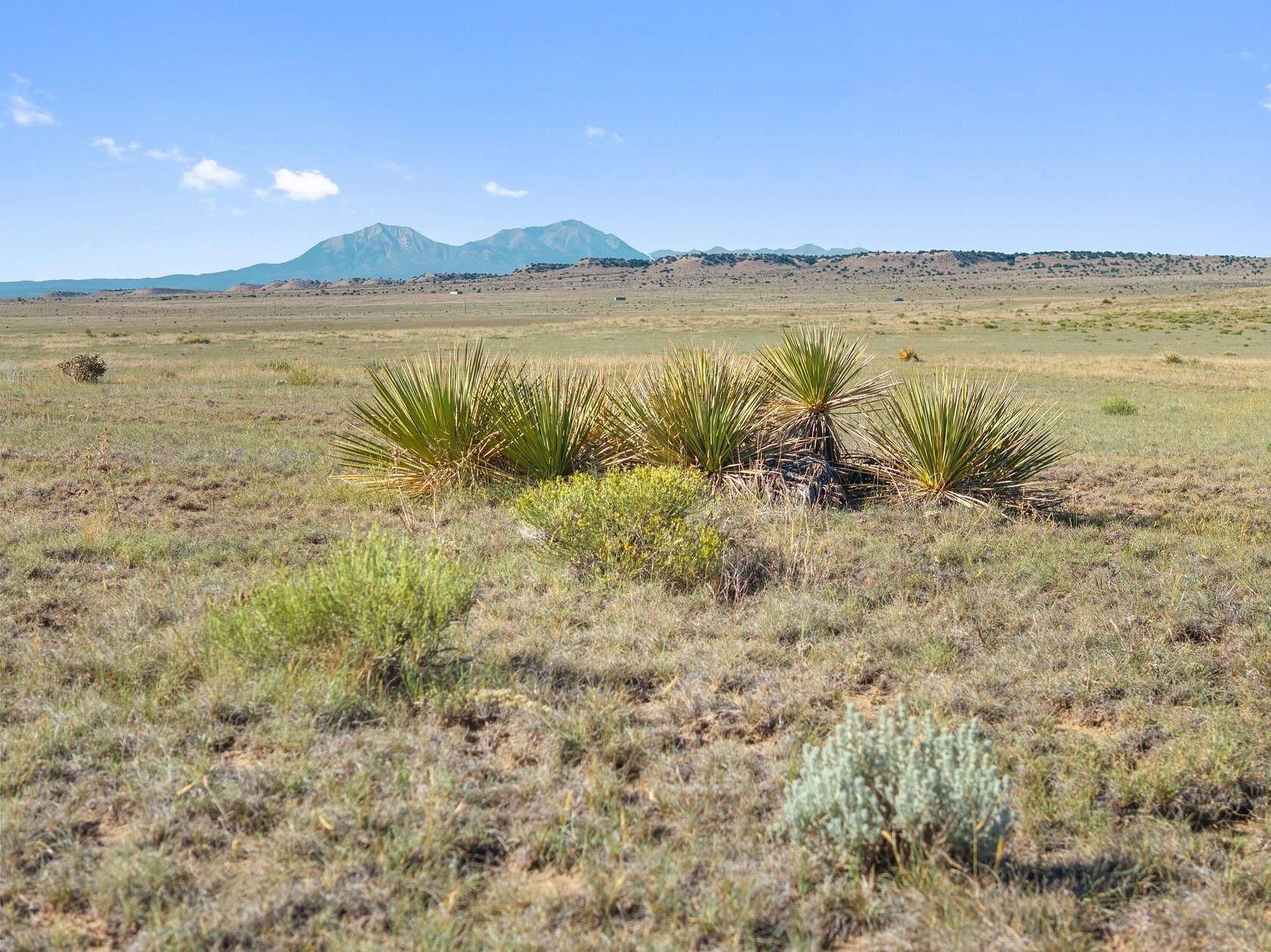 40 Acres of Land for Sale in Walsenburg, Colorado
