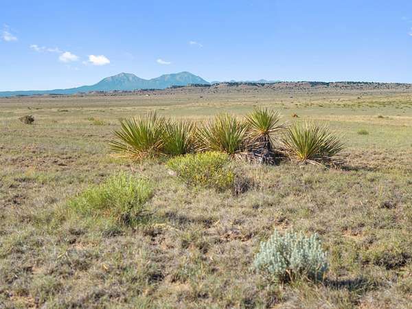 40 Acres of Land for Sale in Walsenburg, Colorado