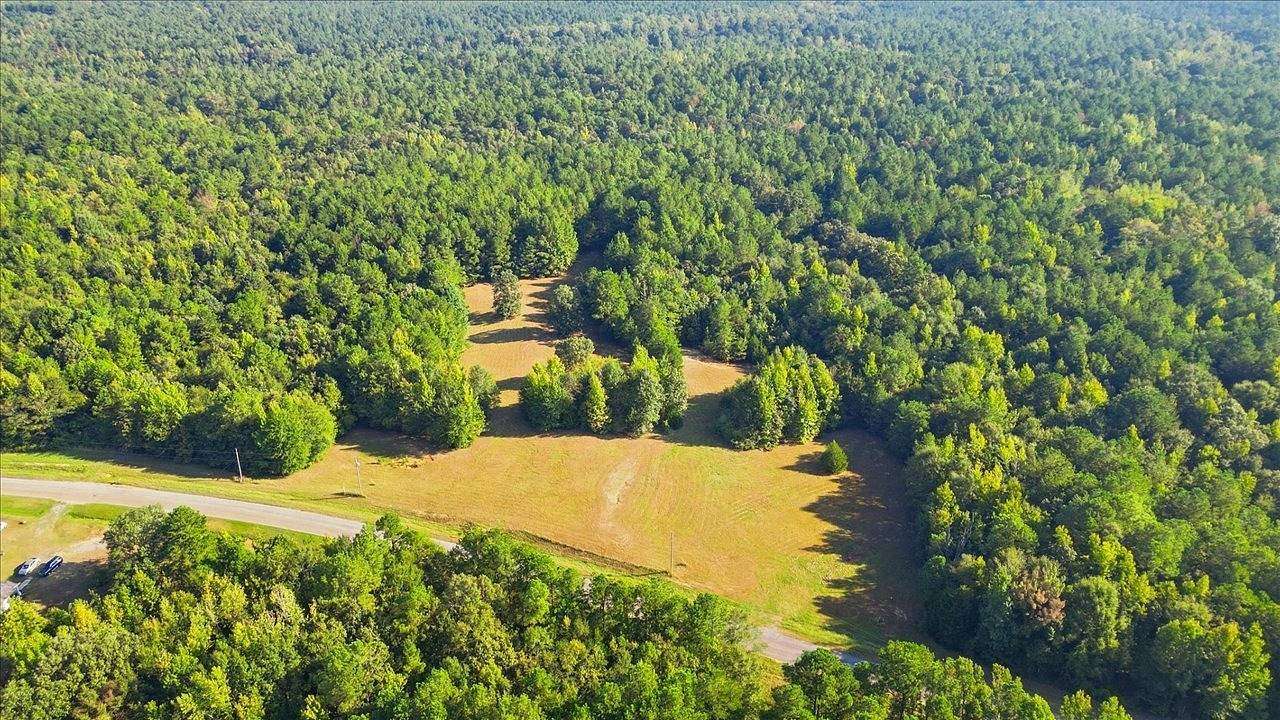 20 Acres of Land for Sale in Carthage, Mississippi
