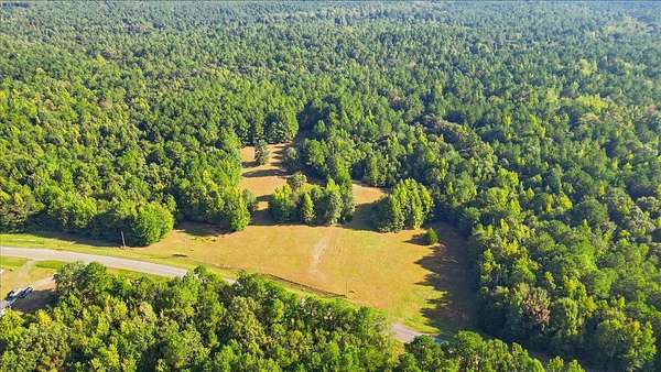 20 Acres of Land for Sale in Carthage, Mississippi