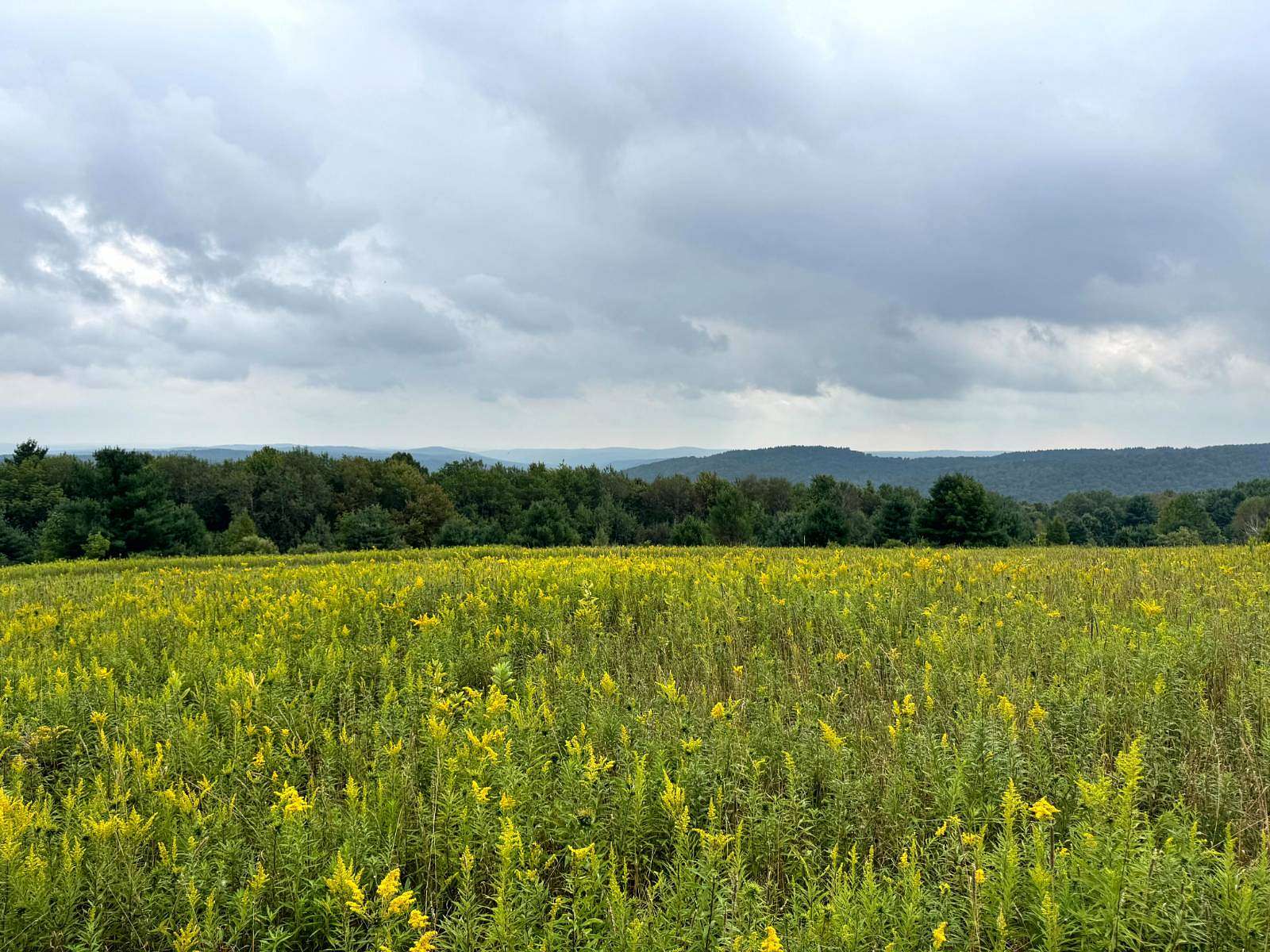 10.3 Acres of Recreational & Residential Land for Sale in Richford, New York