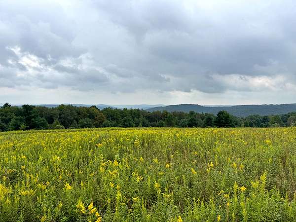 10.3 Acres of Recreational & Residential Land for Sale in Richford, New York