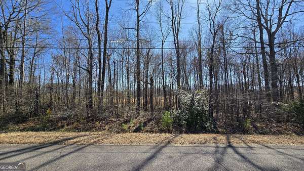 0.46 Acres of Residential Land for Sale in Griffin, Georgia