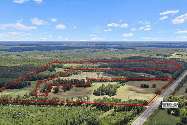 96 Acres of Land for Sale in Tenaha, Texas