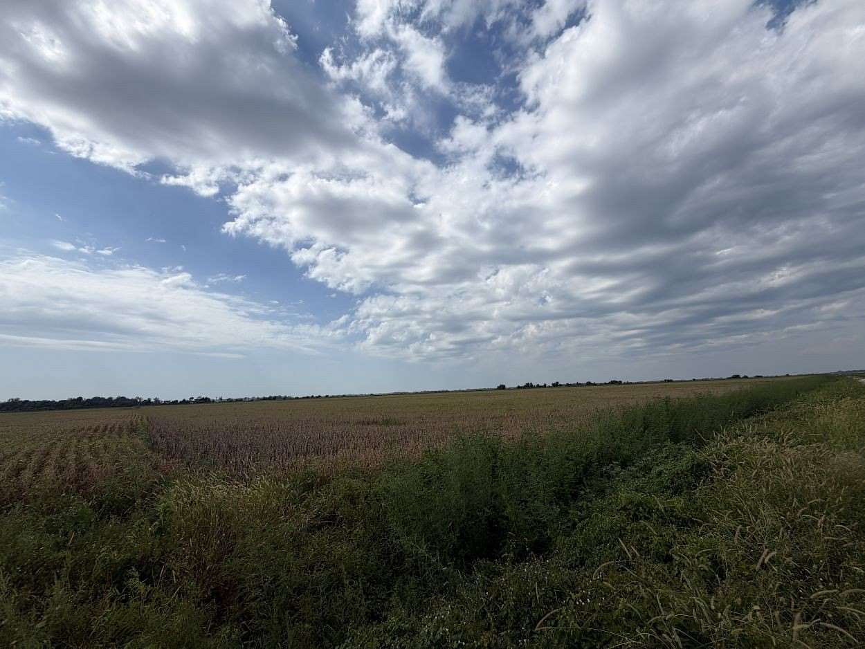 160 Acres of Land for Sale in East Prairie, Missouri