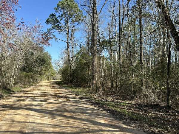 66.8 Acres of Recreational Land for Sale in Bonifay, Florida