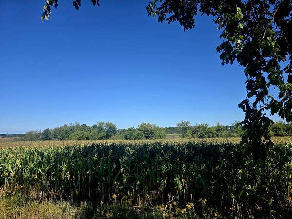 20 Acres of Land for Sale in Fremont, Michigan