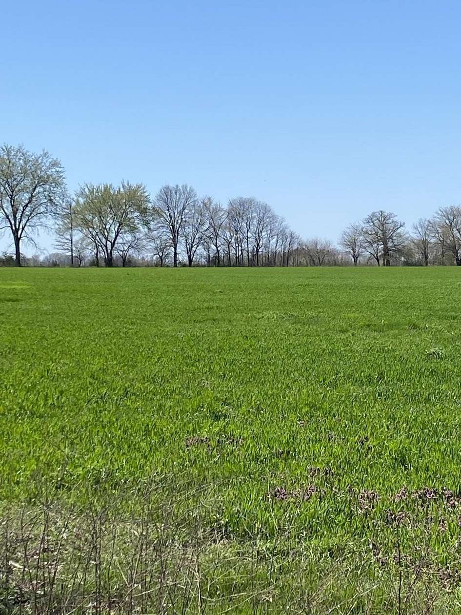 37.4 Acres of Land for Sale in Cassville, Missouri